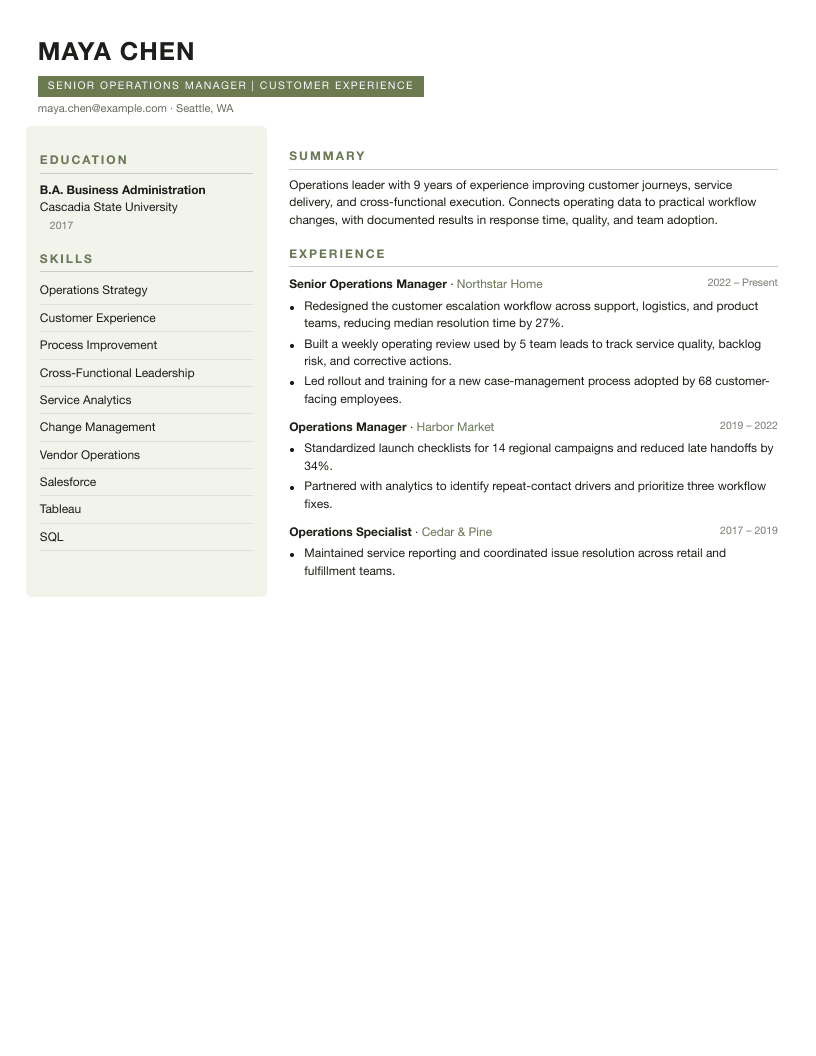 Modern Professional fictional resume layout preview